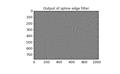 "This code displays two plots. The first plot is a normal grayscale photo of a raccoon climbing on a palm plant. The second plot has the 2-D spline filter applied to the photo and is completely grey except the edges of the photo have been emphasized, especially on the raccoon fur and palm fronds."