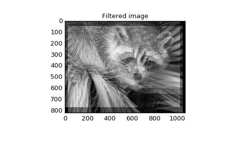 "This code displays two plots. The first plot is the familiar photo of a raccoon climbing on a palm. The second plot has the FIR filter applied and has the two copies of the photo superimposed due to the twin peaks manually set in the filter kernel definition."