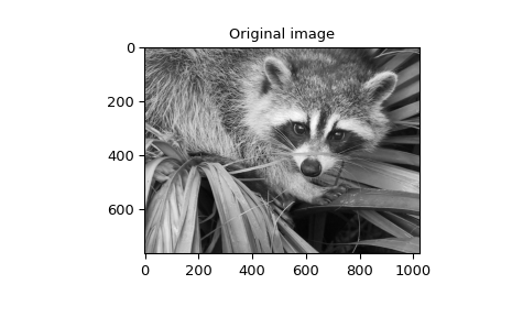 "This code displays two plots. The first plot is the familiar photo of a raccoon climbing on a palm. The second plot has the FIR filter applied and has the two copies of the photo superimposed due to the twin peaks manually set in the filter kernel definition."