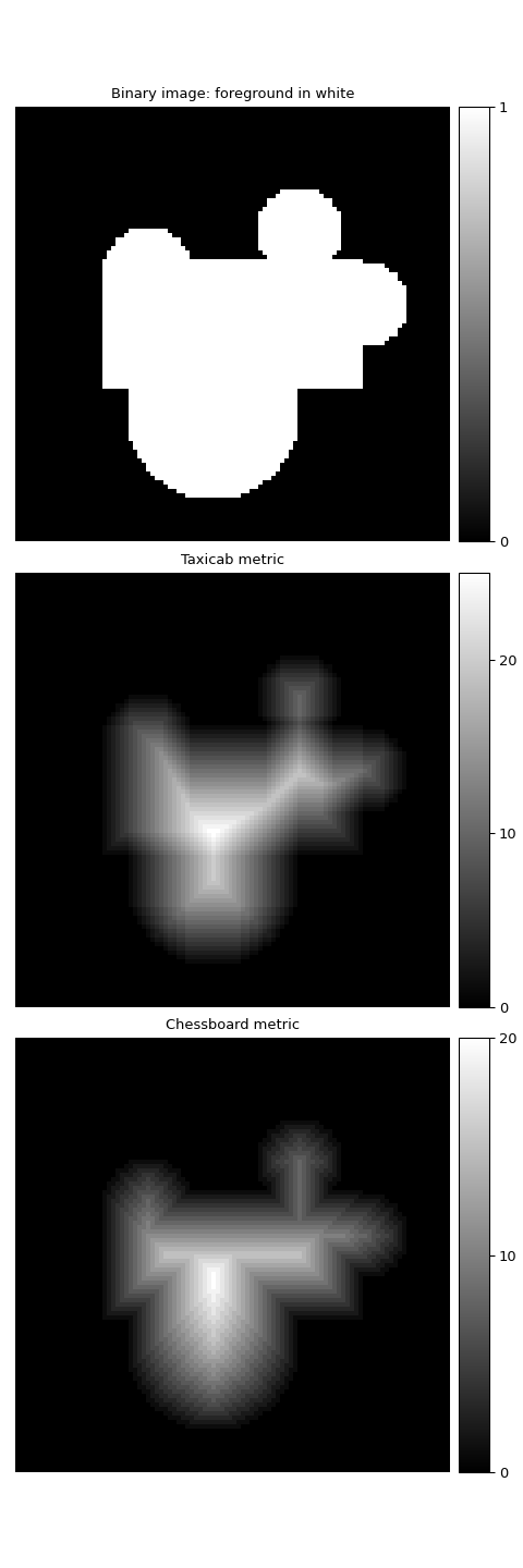 ../../_images/scipy-ndimage-distance_transform_cdt-1.png