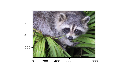 ../../_images/scipy-datasets-face-1.png