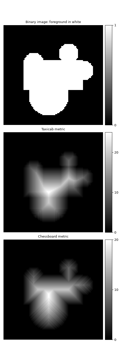 ../../_images/scipy-ndimage-distance_transform_cdt-1.png