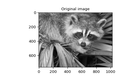 "This code displays two plots. The first plot is a normal grayscale photo of a raccoon climbing on a palm plant. The second plot has the 2-D spline filter applied to the photo and is completely grey except the edges of the photo have been emphasized, especially on the raccoon fur and palm fronds."