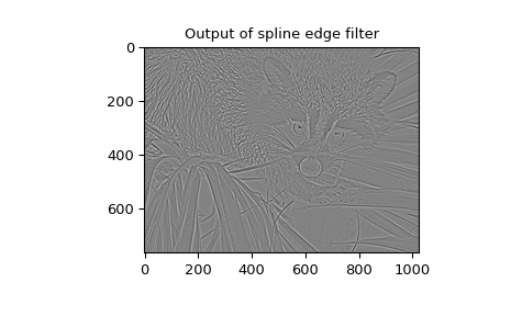 "This code displays two plots. The first plot is a normal grayscale photo of a raccoon climbing on a palm plant. The second plot has the 2-D spline filter applied to the photo and is completely grey except the edges of the photo have been emphasized, especially on the raccoon fur and palm fronds."
